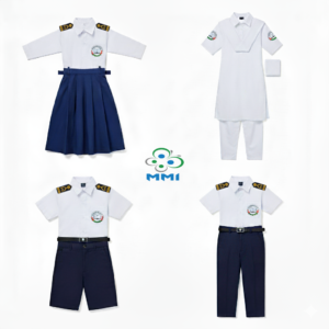 Normal School Dress With Shoulder Batch(1)